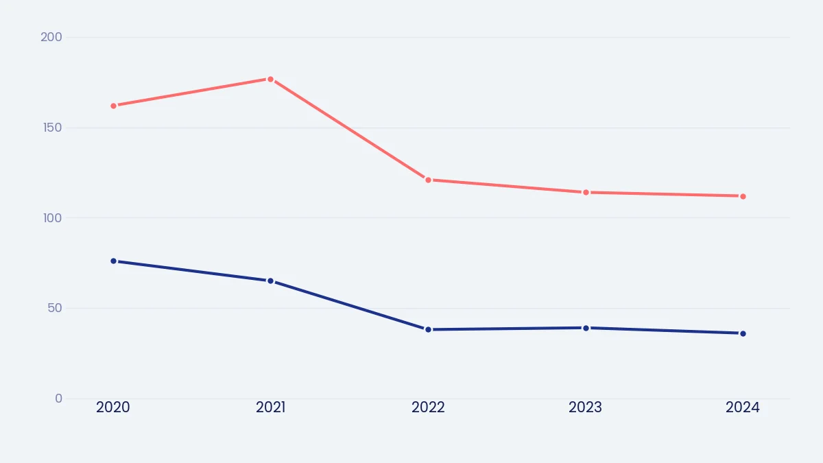 Grafico a linee su fondo chiaro con due serie in blu e corallo, entrambe in discesa dal 2020 al 2024